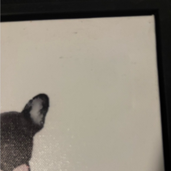 Luxury Frenchie canvas - Picture 3 of 4